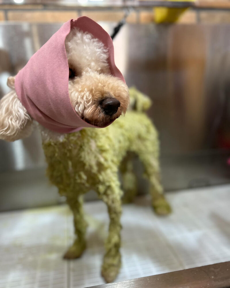 ブログ