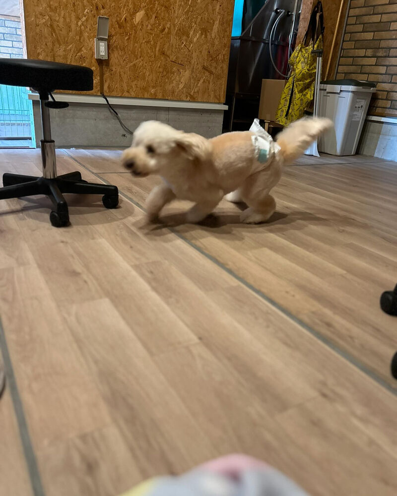 ブログ