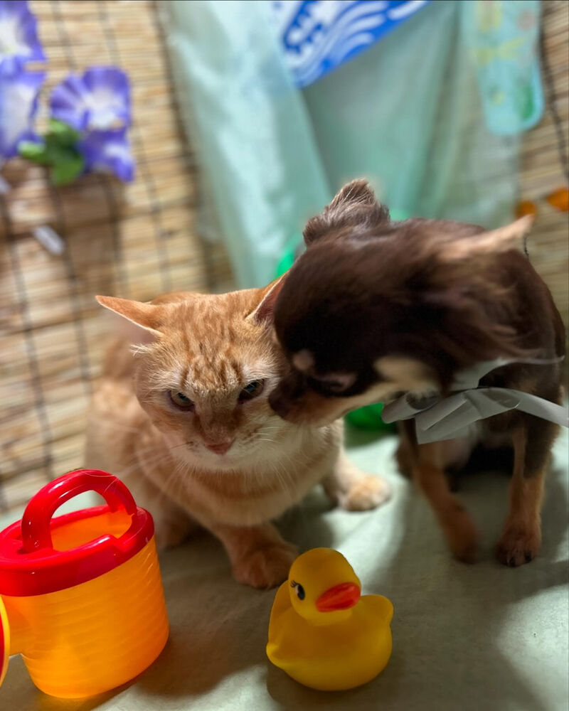 ブログ