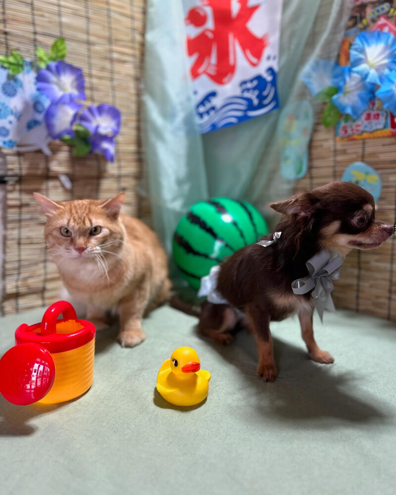 ブログ
