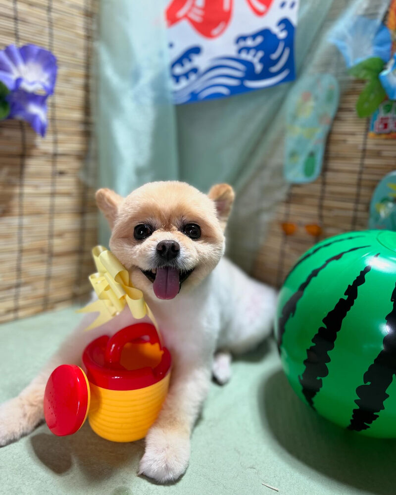 ブログ