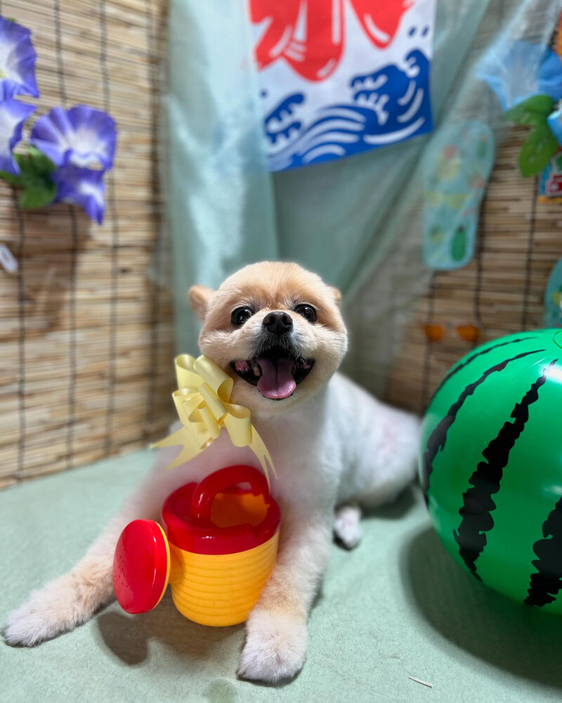 ブログ