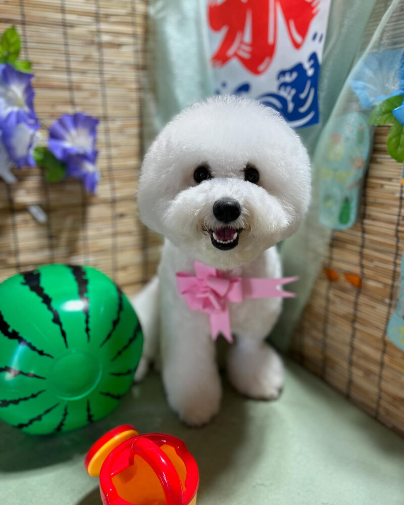 ブログ