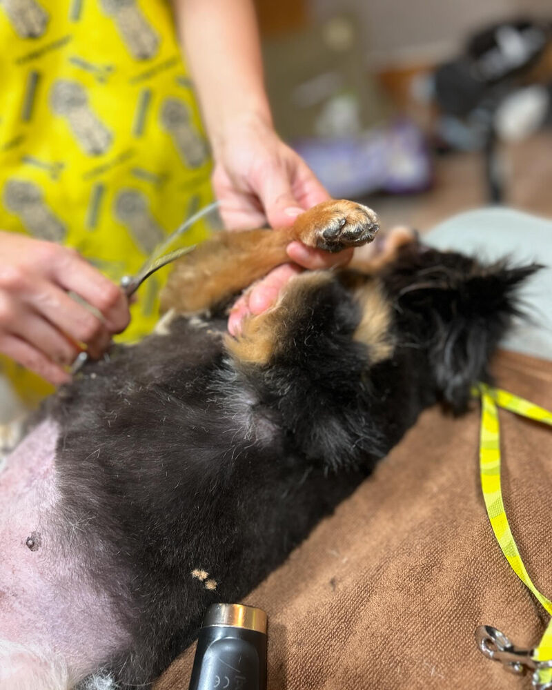 ブログ