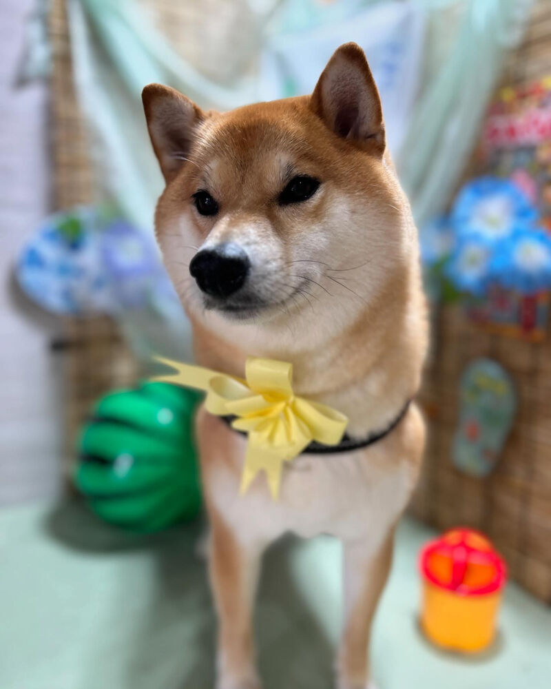 ブログ