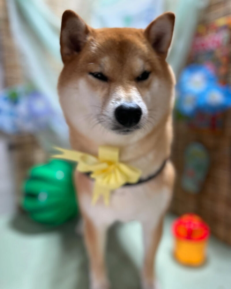 ブログ
