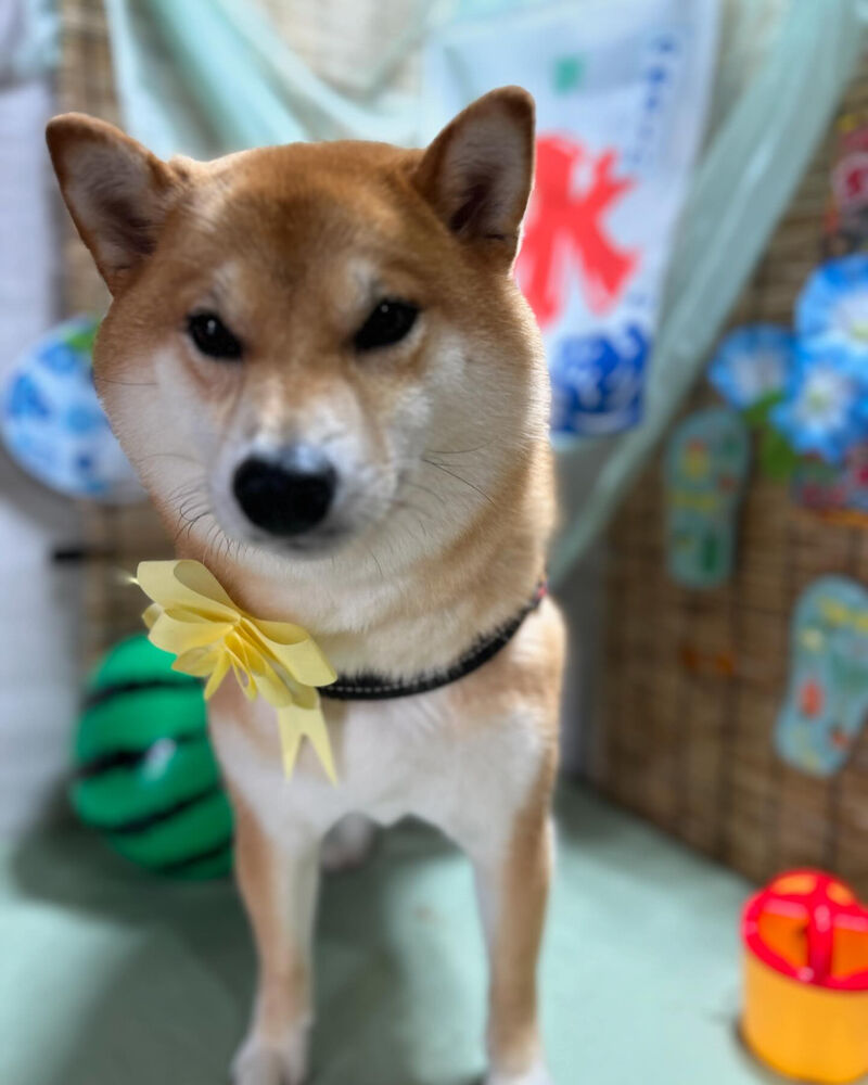 ブログ