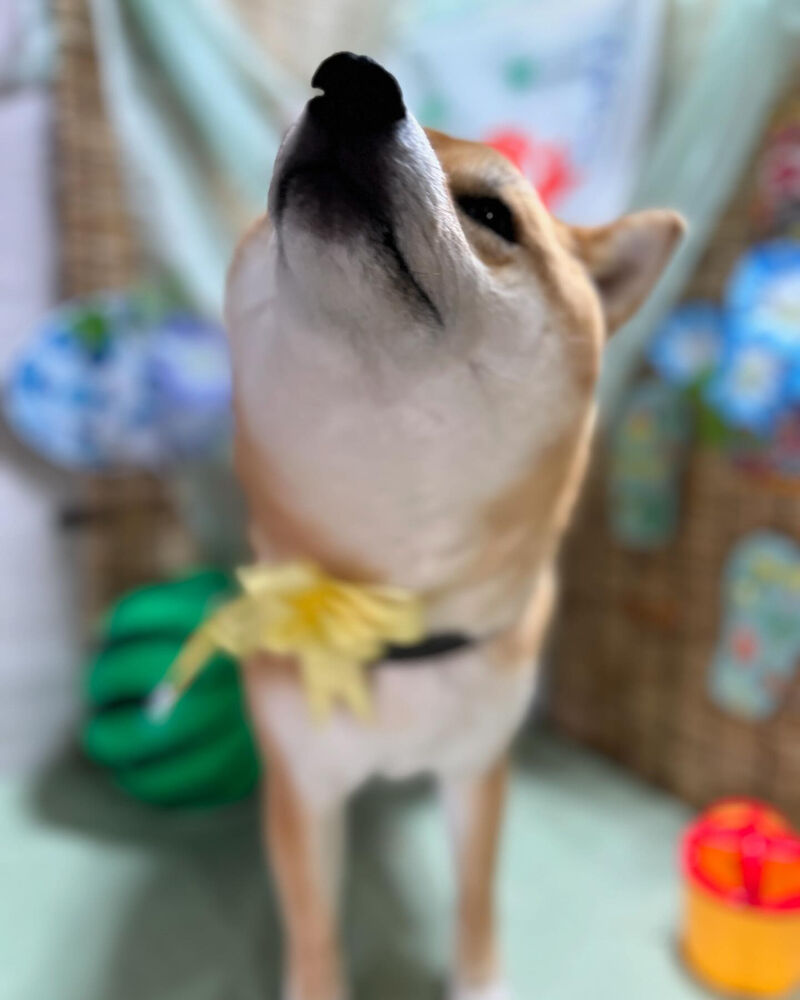 ブログ