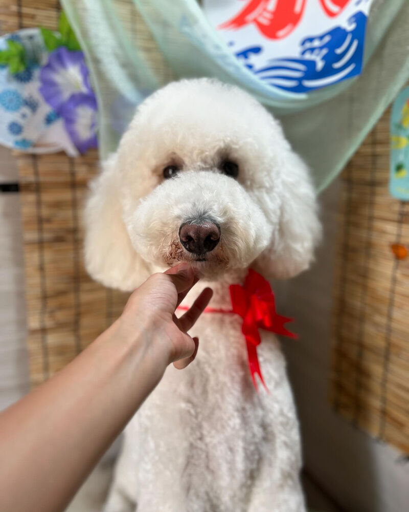 ブログ