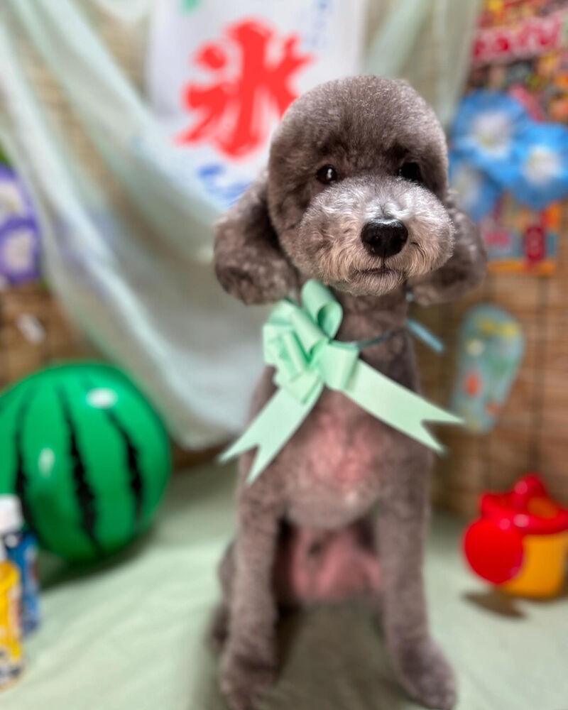 ブログ