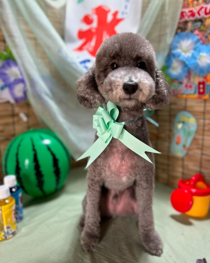 ブログ