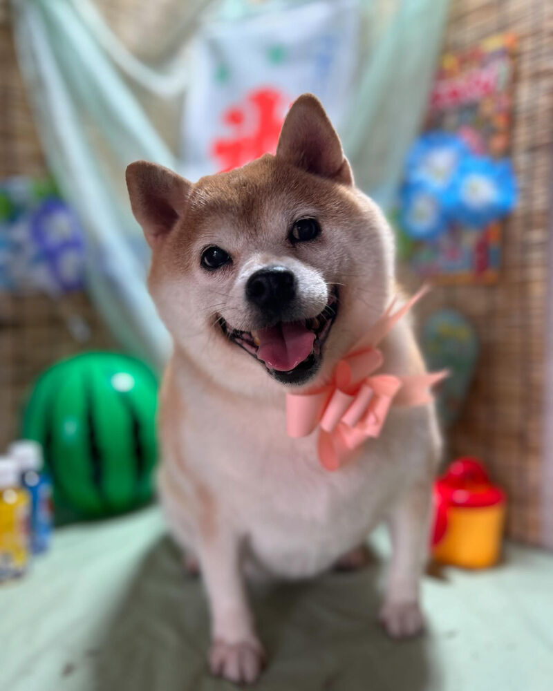 ブログ