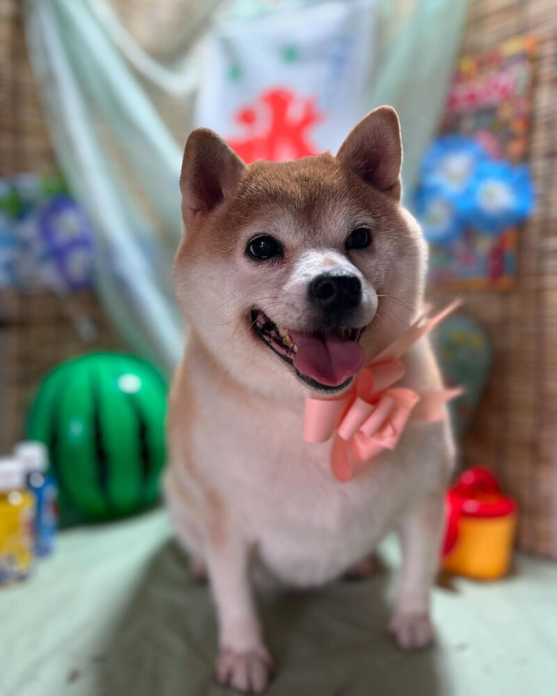 ブログ