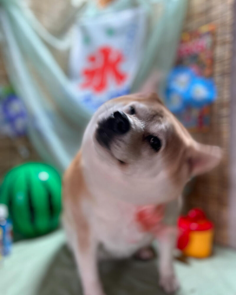 ブログ