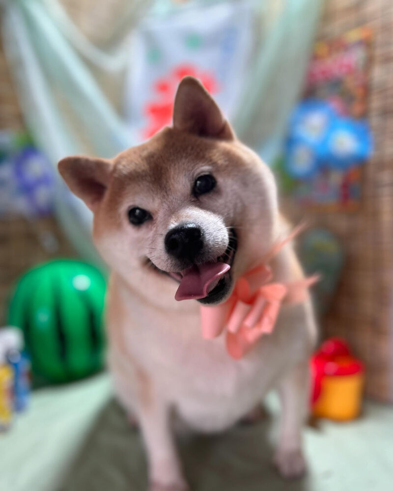 ブログ