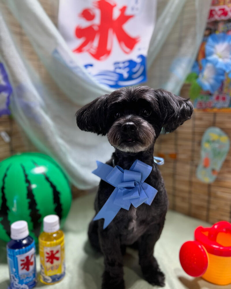 ブログ