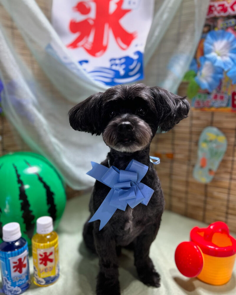 ブログ