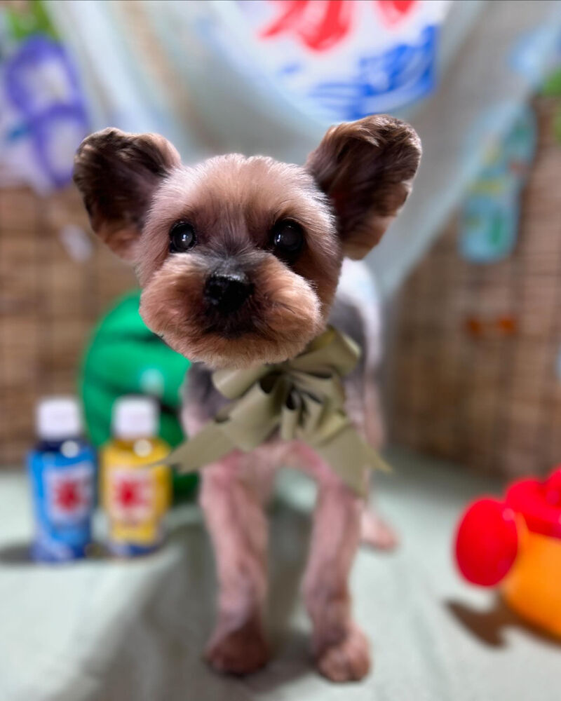 ブログ