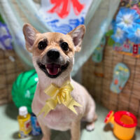 ブログ
