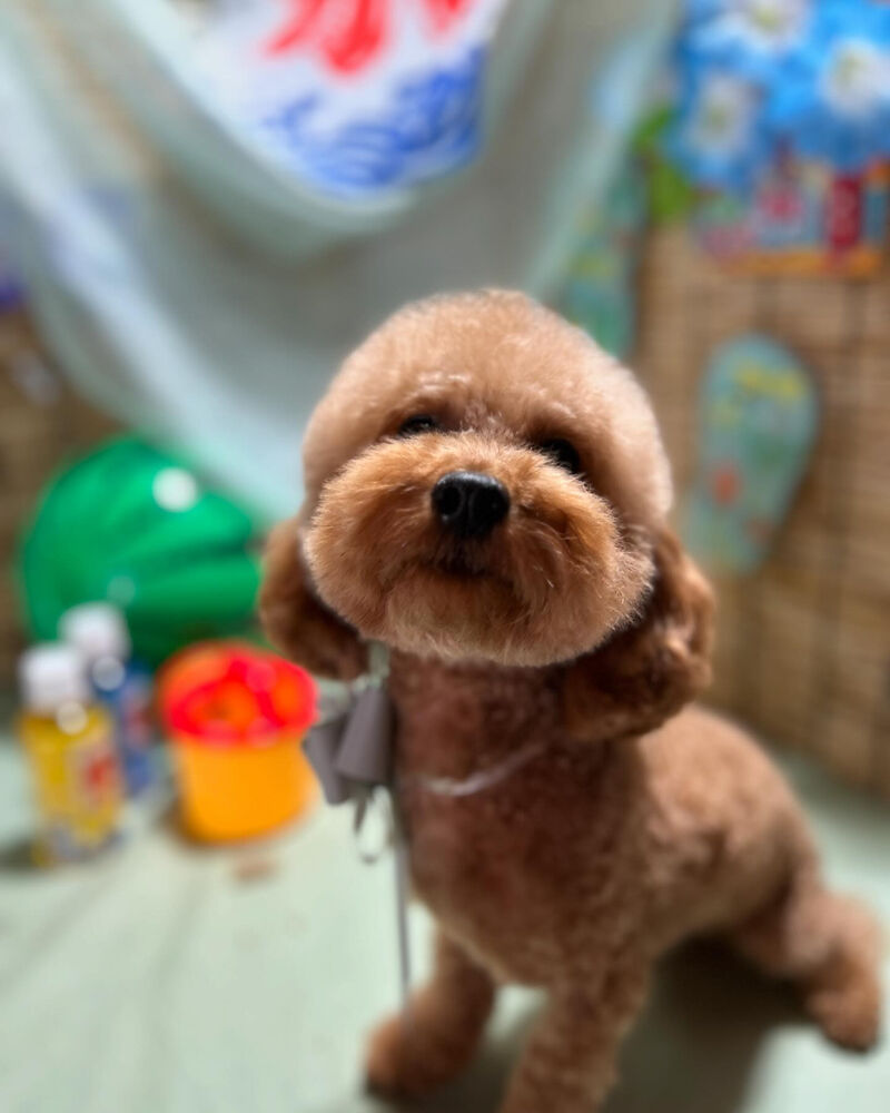 ブログ
