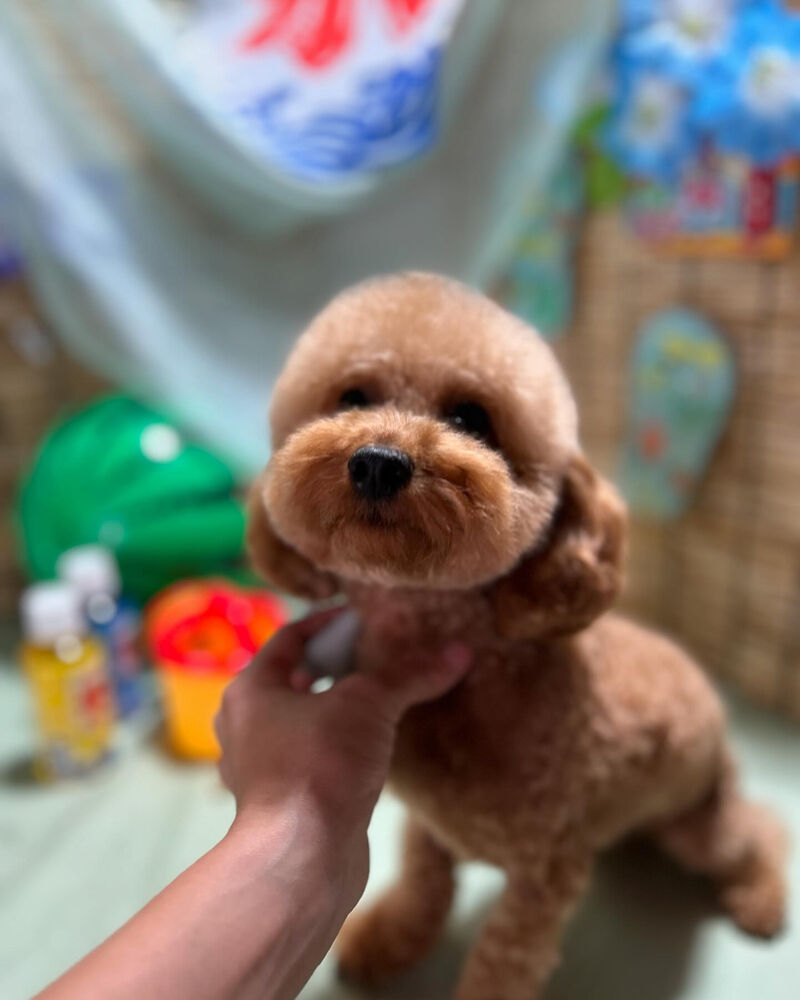 ブログ