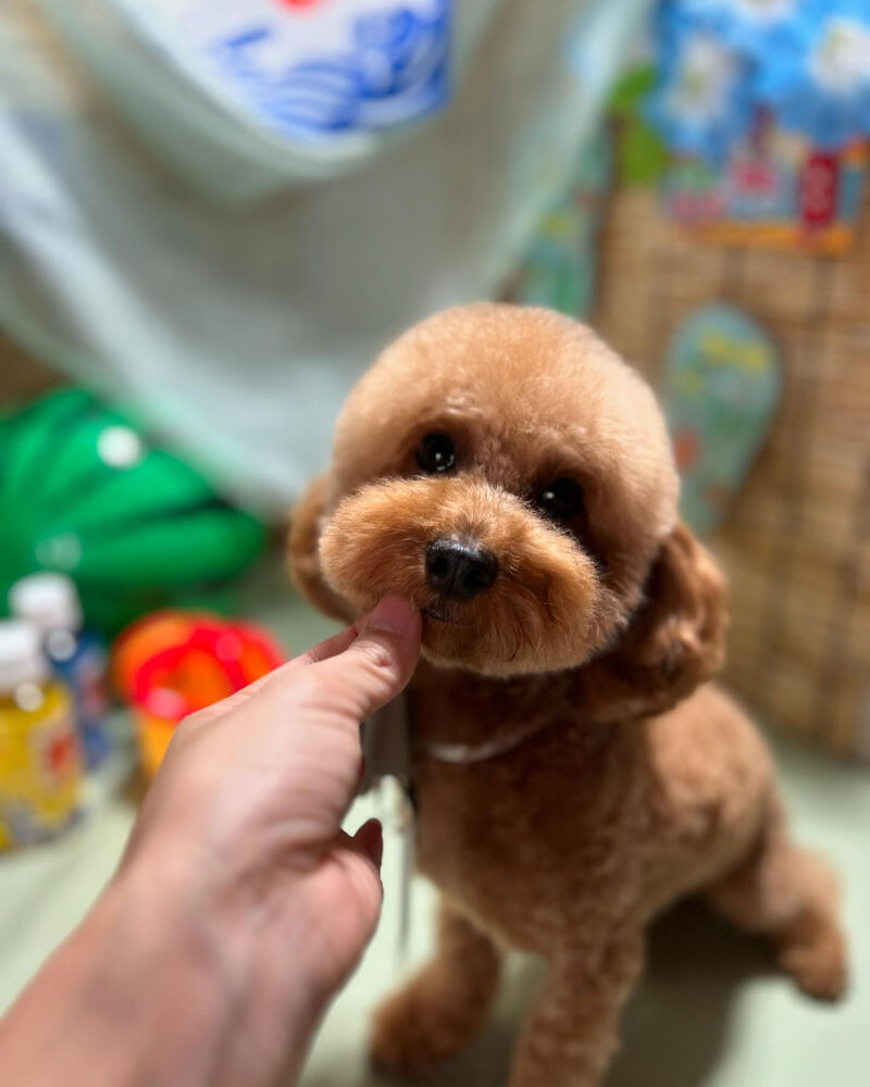 ブログ
