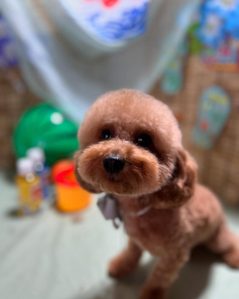 ブログ