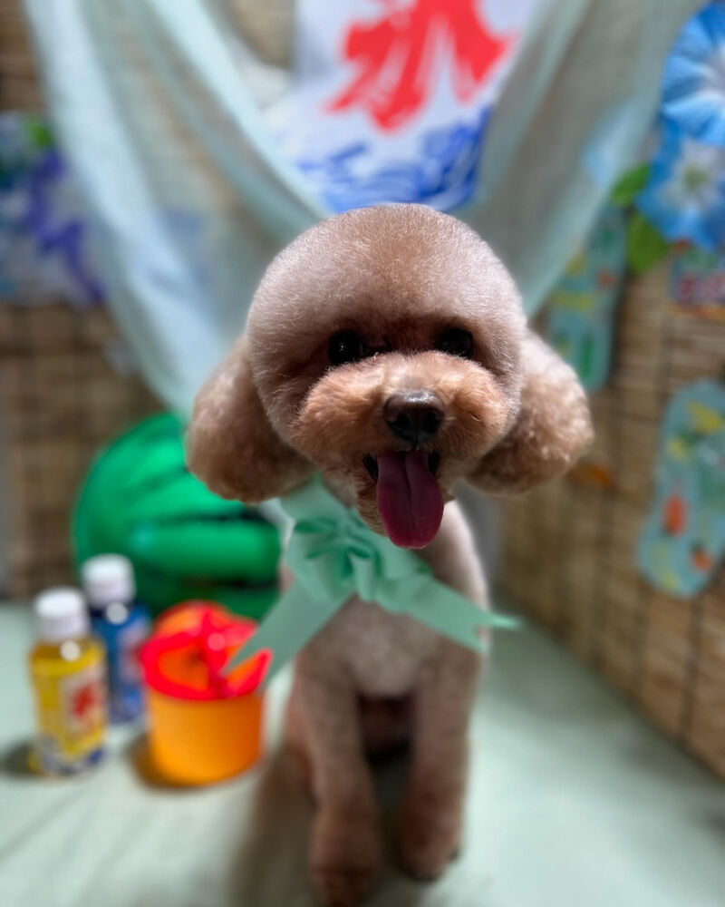 ブログ