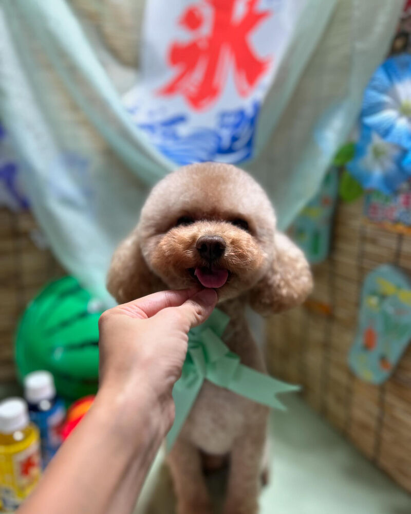 ブログ