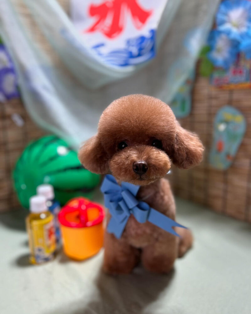ブログ
