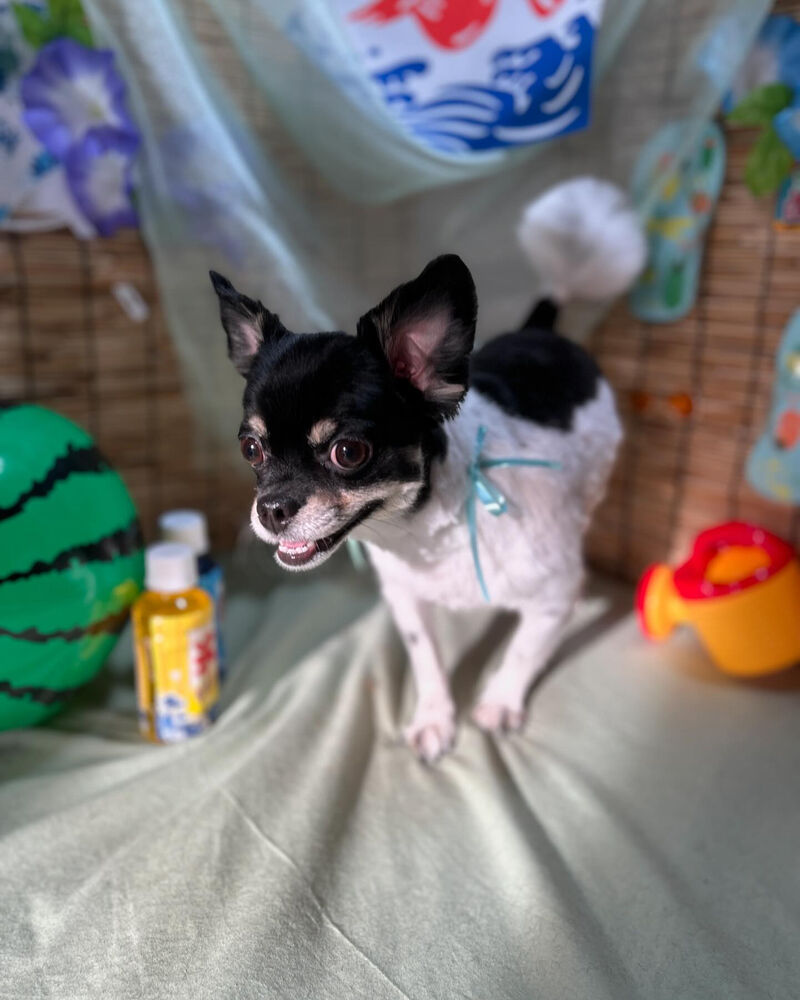 ブログ