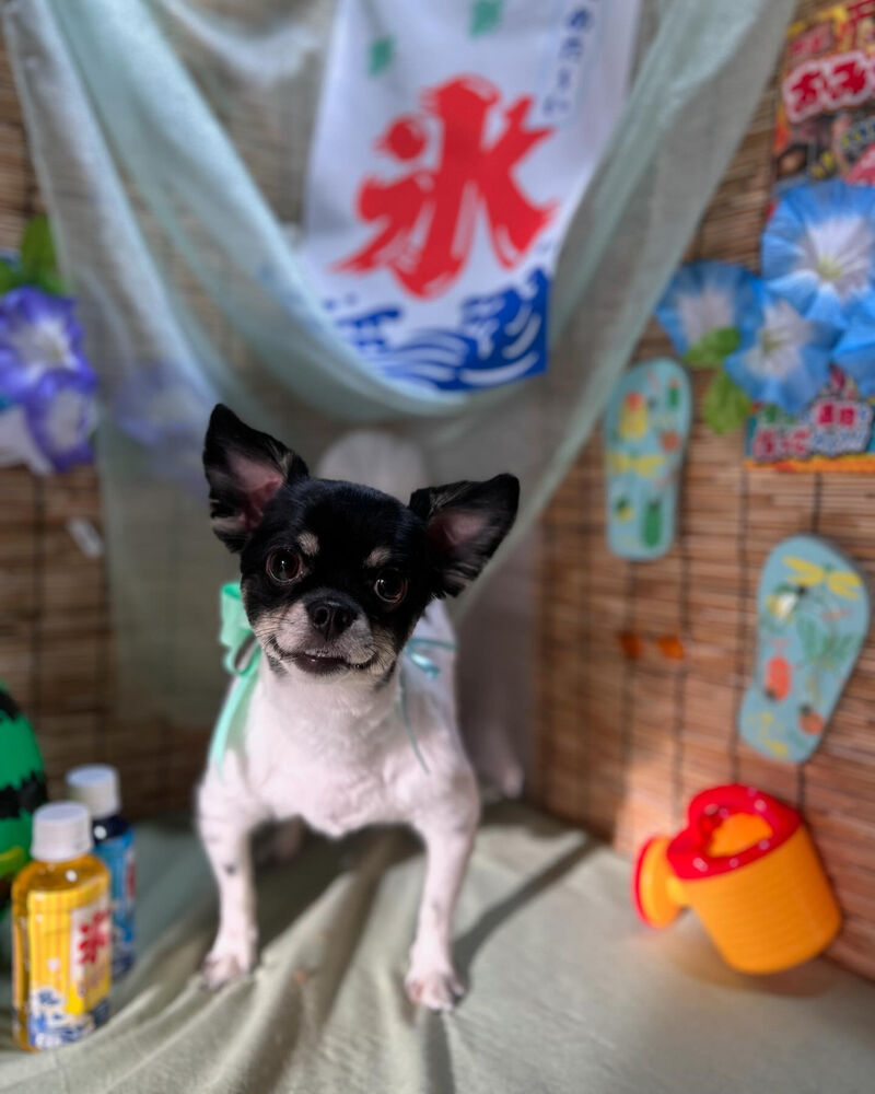 ブログ