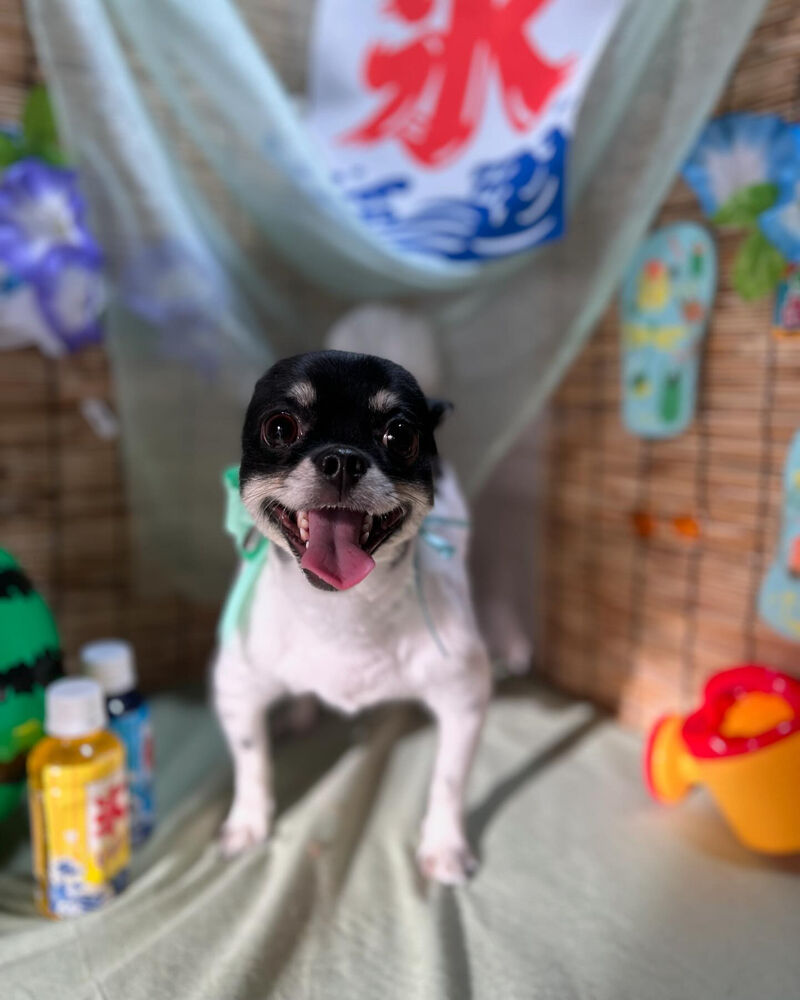 ブログ