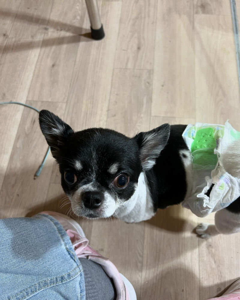 ブログ