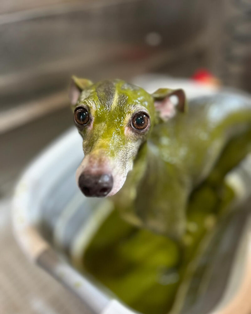 ブログ