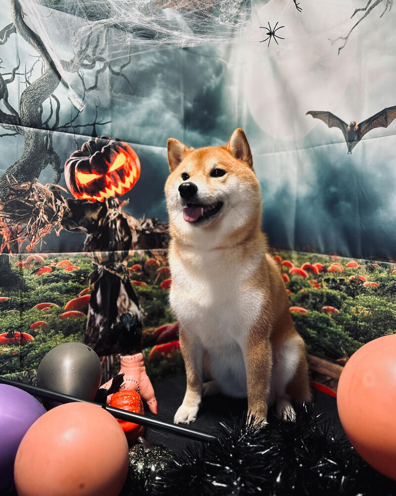 ブログ