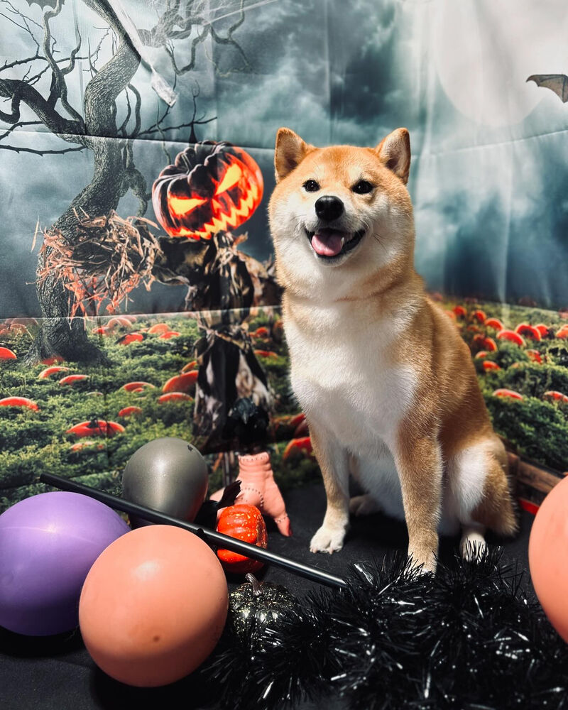 ブログ