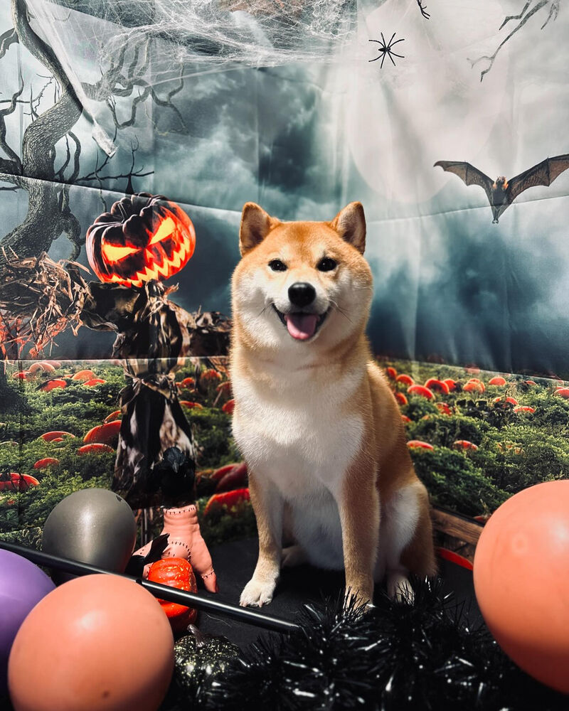 ブログ