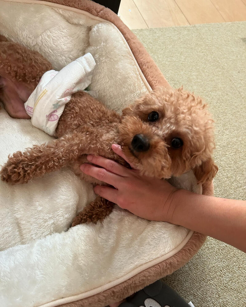 ブログ