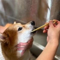 ブログ