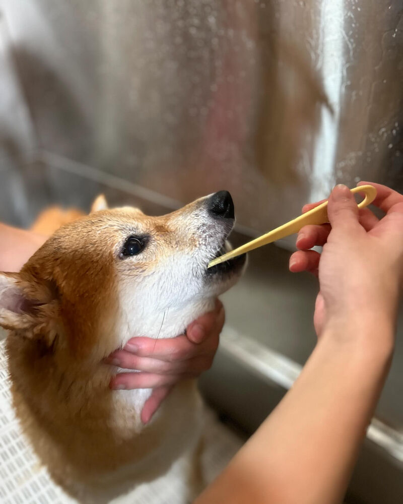 ブログ