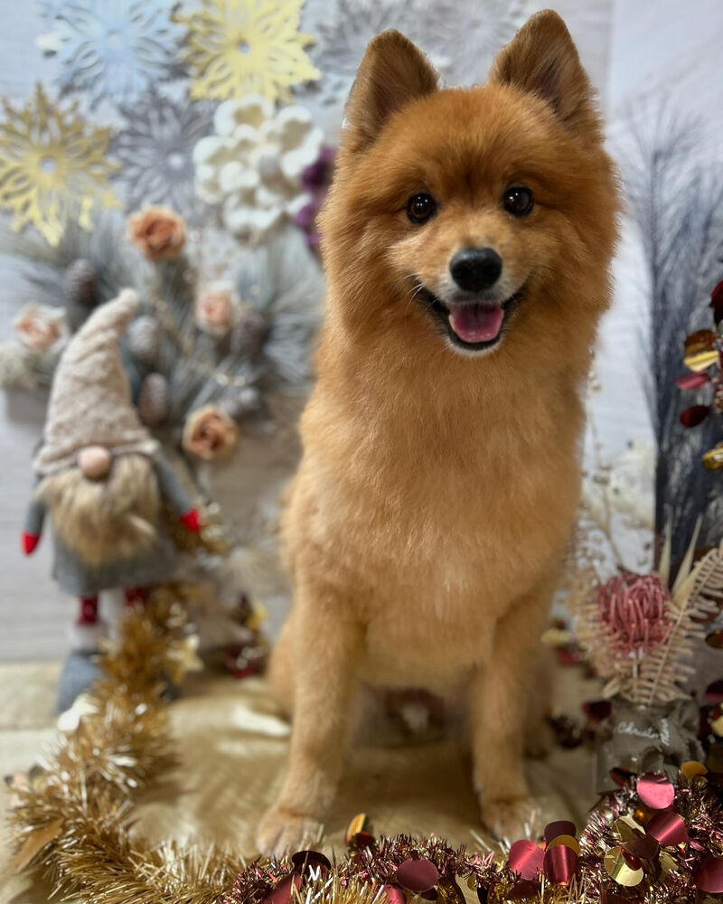 ブログ