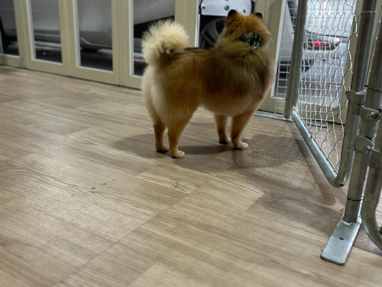 ブログ