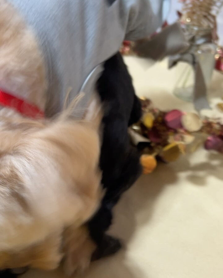 ブログ