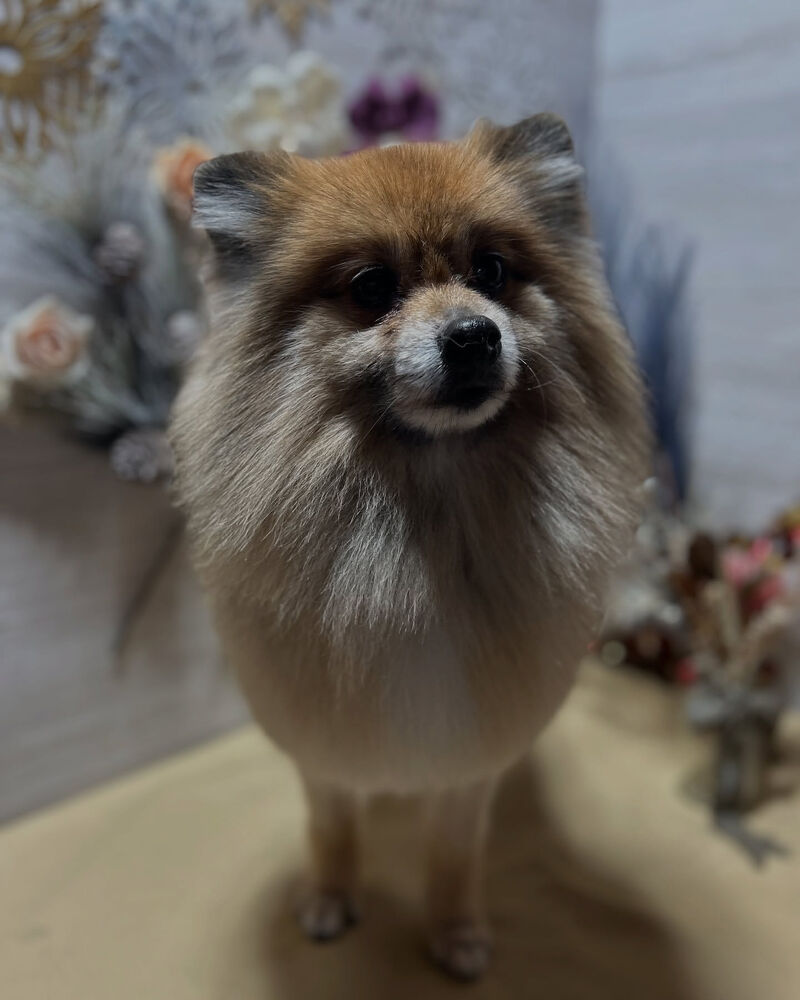ブログ