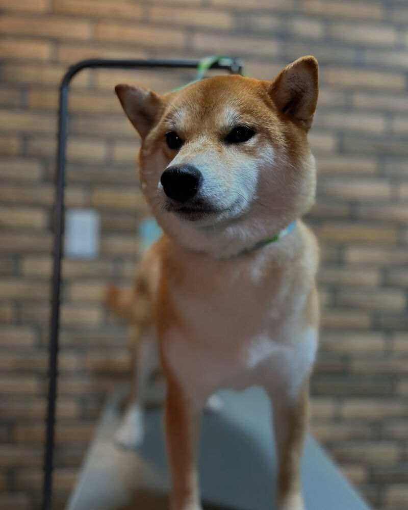 ブログ