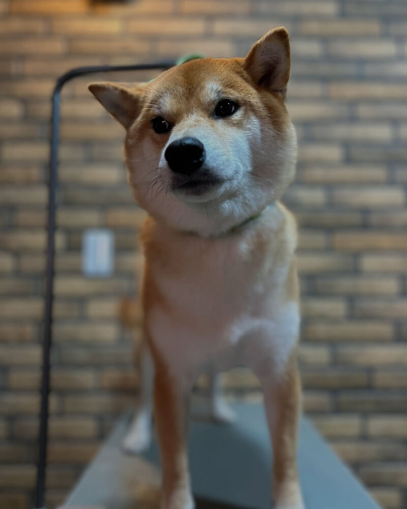 ブログ