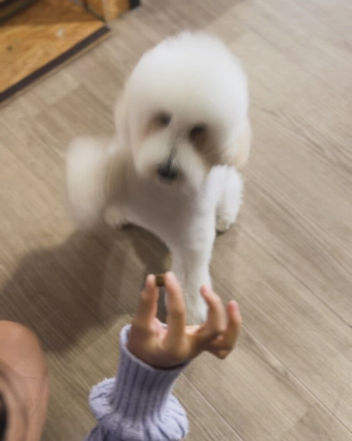 ブログ