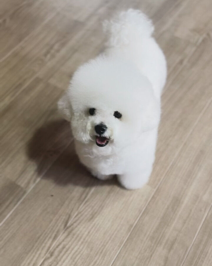 ブログ