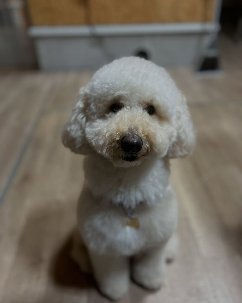 ブログ